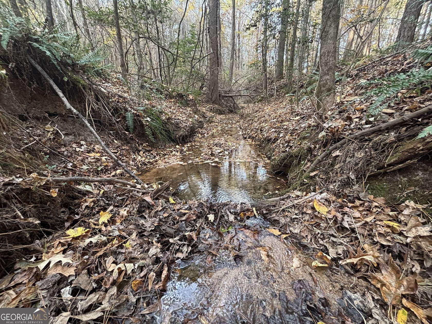 14.8 Acres of Land for Sale in Buckhead, Georgia