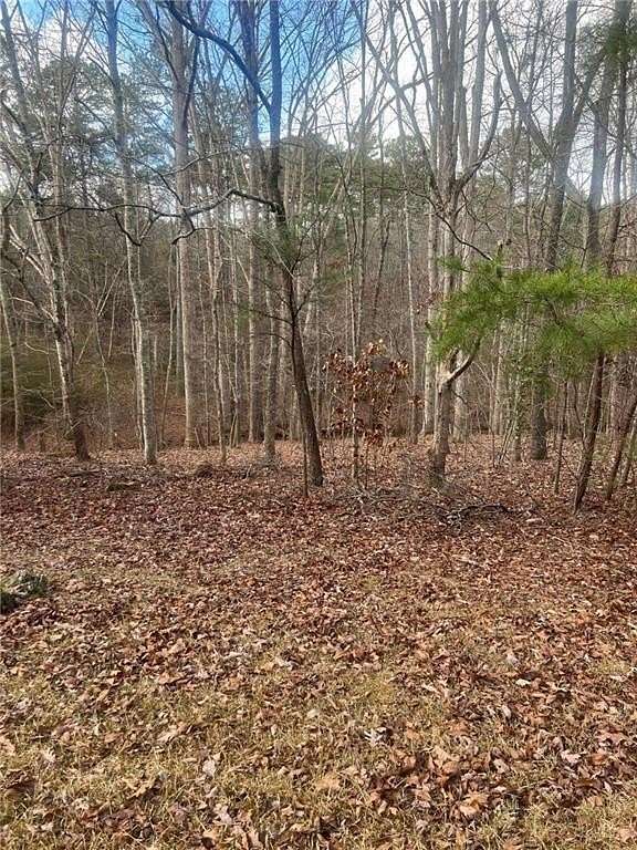 0.56 Acres of Residential Land for Sale in Rome, Georgia