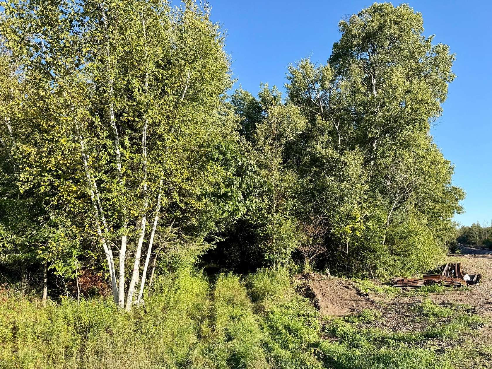 60 Acres of Recreational Land for Sale in Tomahawk, Wisconsin