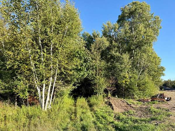 60 Acres of Recreational Land for Sale in Tomahawk, Wisconsin