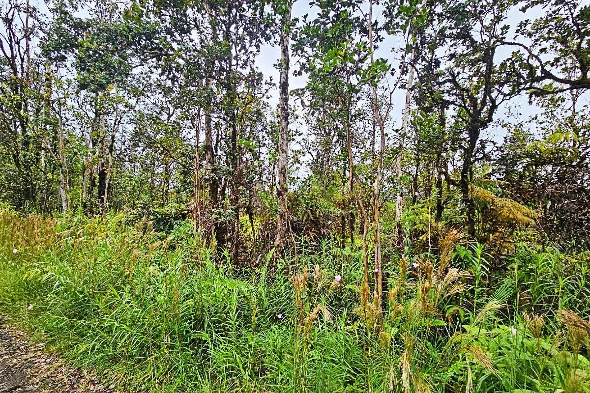 1 Acre of Land for Sale in Mountain View, Hawaii