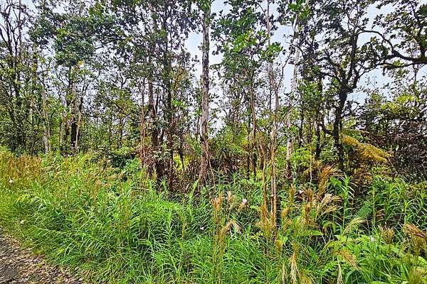 1 Acre of Land for Sale in Mountain View, Hawaii