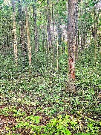6.4 Acres of Residential Land for Sale in Thompson, Ohio
