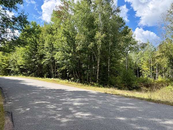 103 Acres of Recreational Land for Sale in Minocqua, Wisconsin