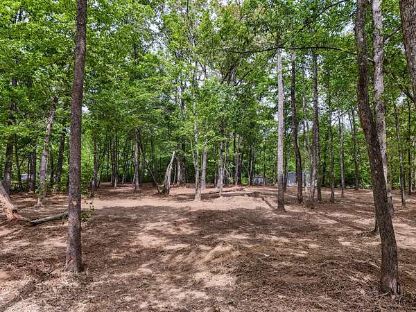 1 Acre of Residential Land for Sale in Beechgrove, Tennessee