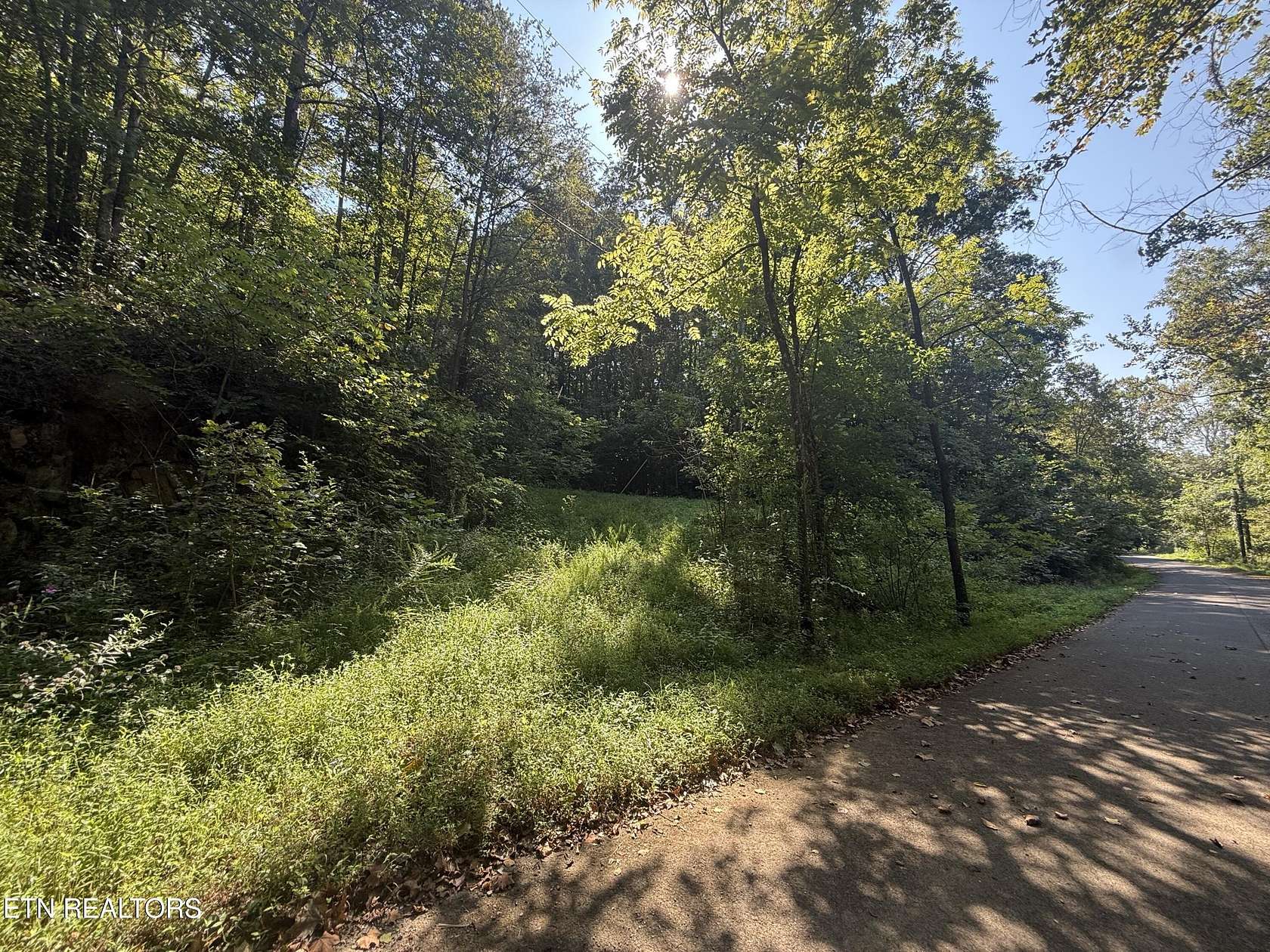 4.4 Acres of Residential Land for Sale in Seymour, Tennessee