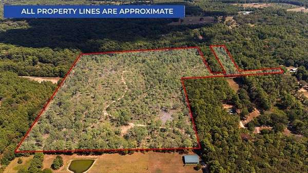 51.7 Acres of Recreational & Residential Land for Sale in Kilgore, Texas