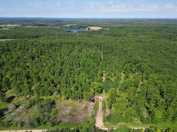 40 Acres of Land for Sale in Crystal Falls, Michigan