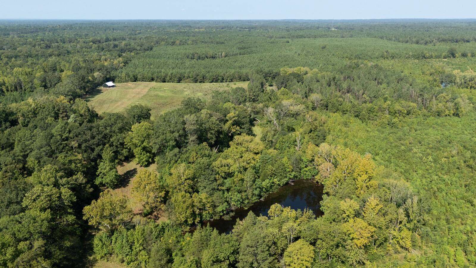 160 Acres of Land with Home for Sale in Gallion, Alabama