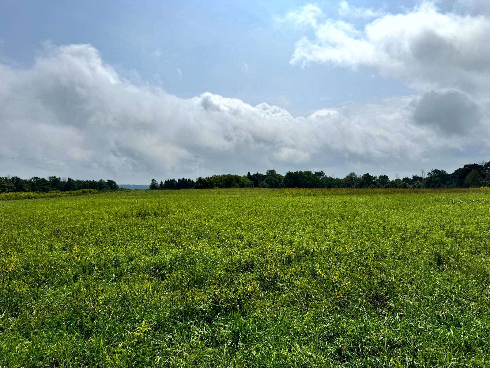 5.1 Acres of Residential Land for Sale in Richford, New York