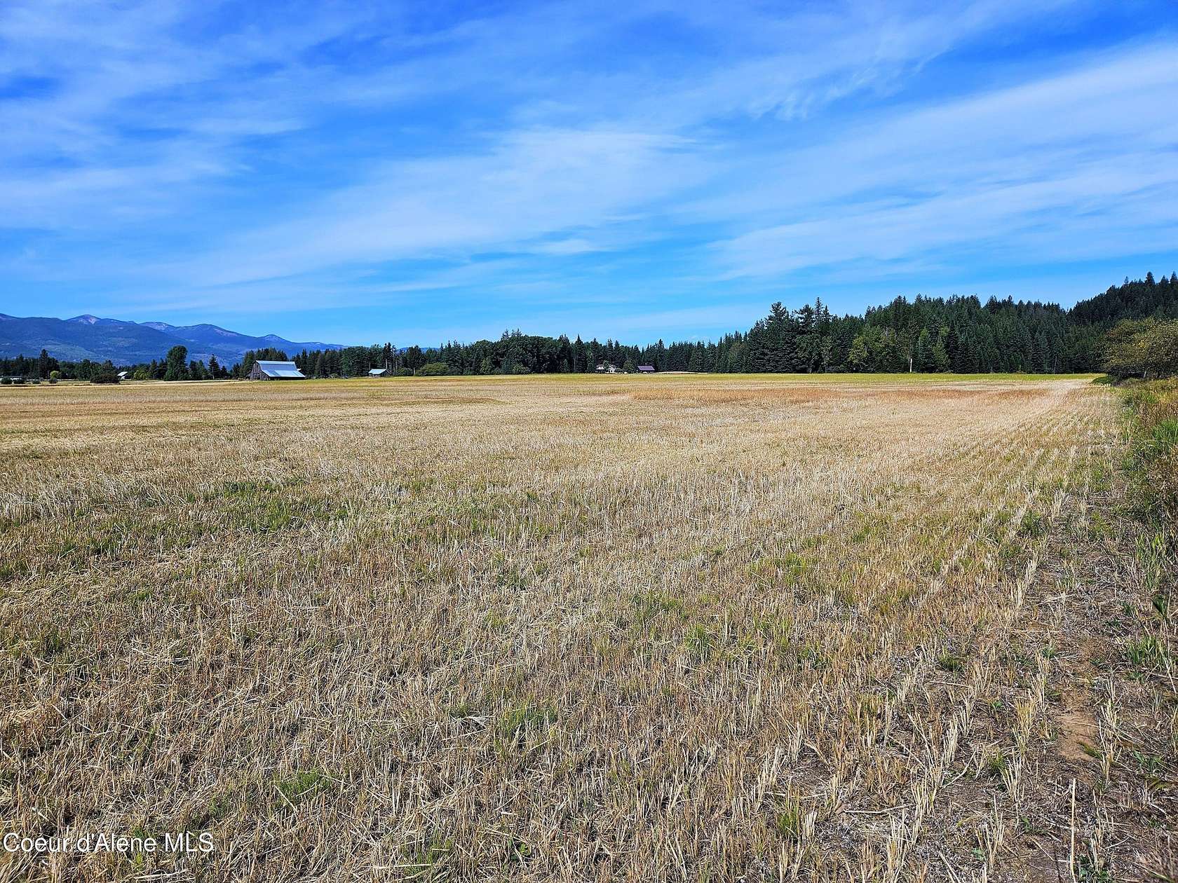 20 Acres of Agricultural Land for Sale in Sandpoint, Idaho