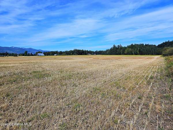 20 Acres of Agricultural Land for Sale in Sandpoint, Idaho