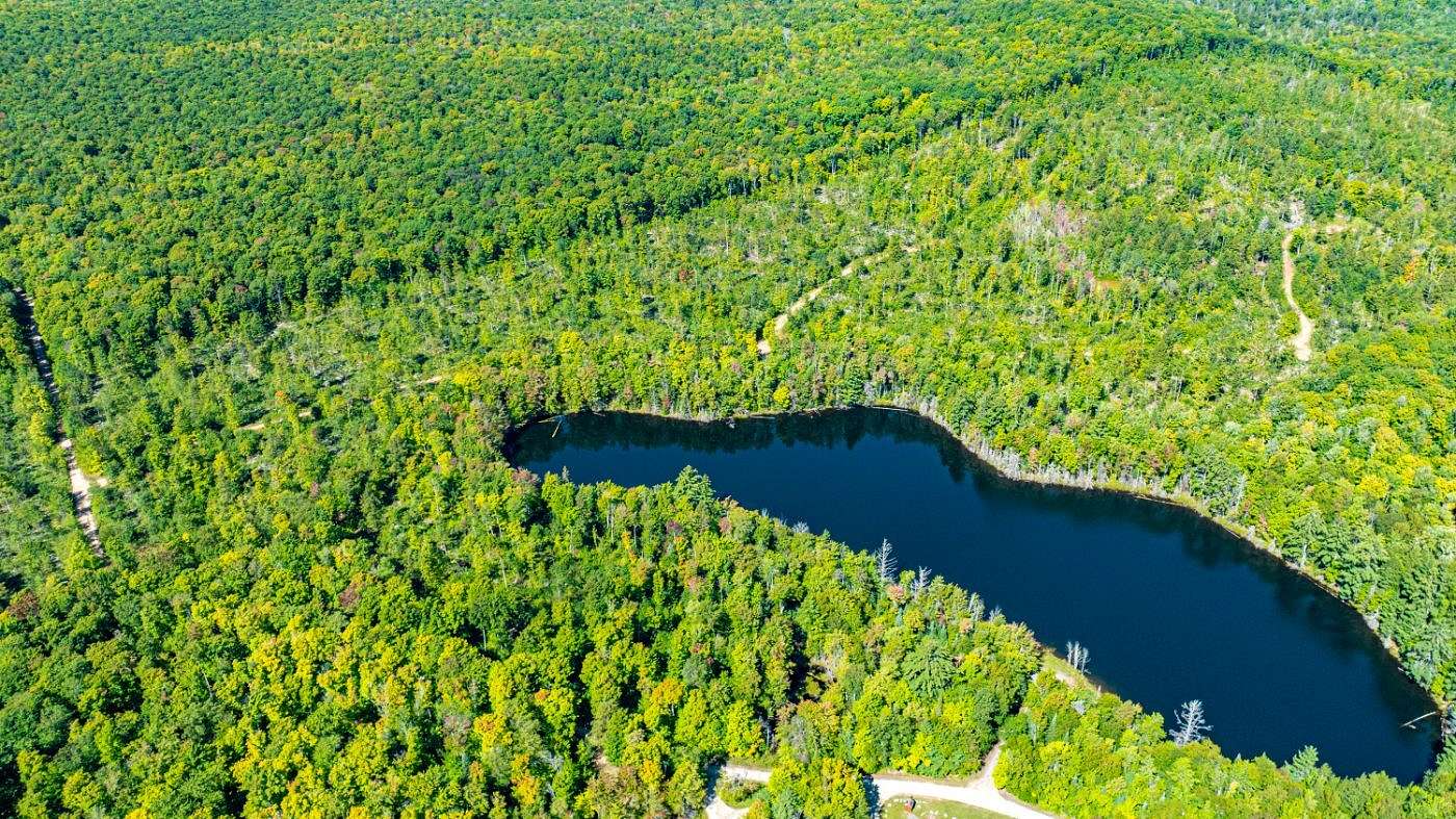 112 Acres of Land for Sale in Elm River Township, Michigan