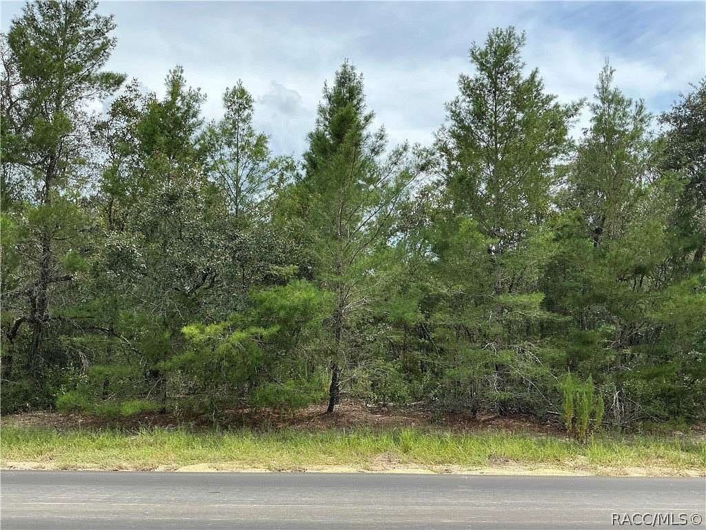 3 Acres of Residential Land for Sale in Beverly Hills, Florida