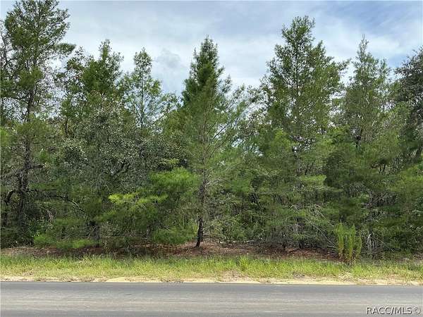 3 Acres of Residential Land for Sale in Beverly Hills, Florida