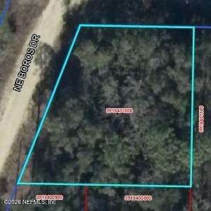 0.23 Acres of Residential Land for Sale in Williston, Florida