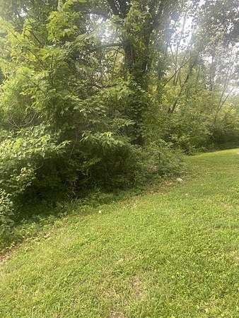 5.2 Acres of Residential Land for Sale in Black Jack, Missouri