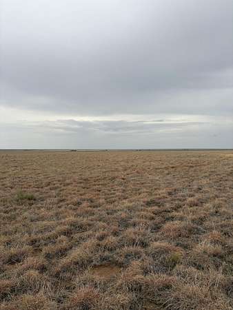 148 Acres of Land for Sale in Sudan, Texas