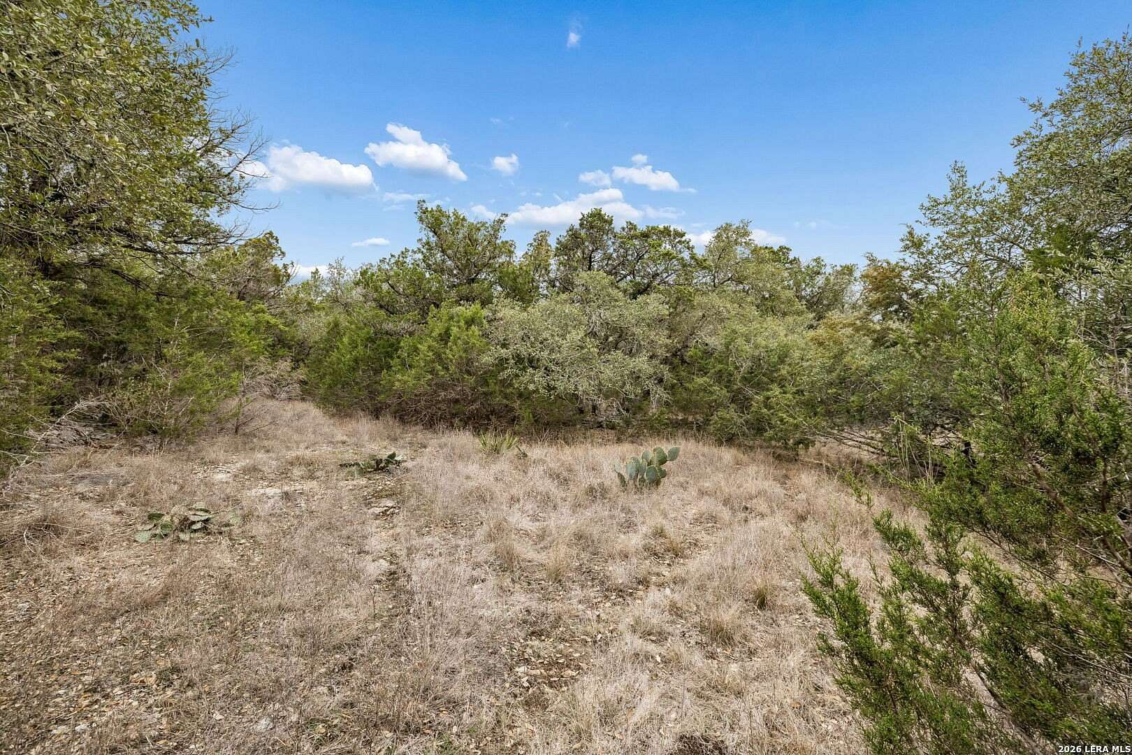 3.27 Acres of Residential Land for Sale in New Braunfels, Texas
