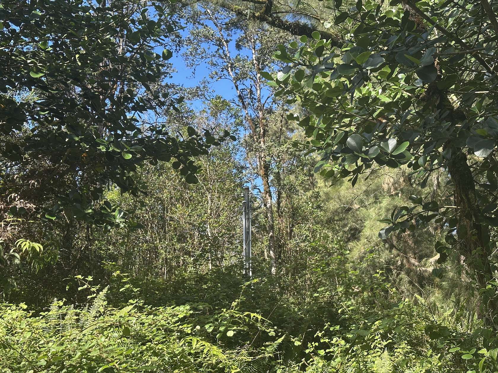 3 Acres of Land for Sale in Mountain View, Hawaii