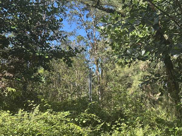 3 Acres of Land for Sale in Mountain View, Hawaii