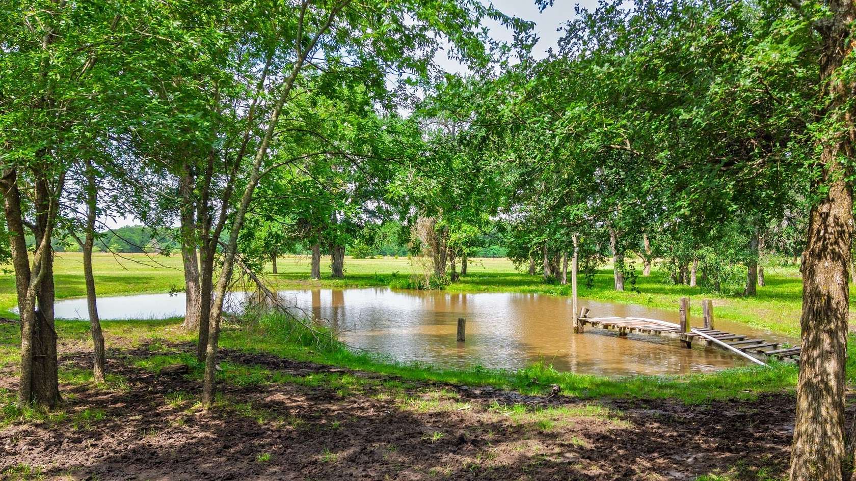 3 Acres of Land with Home for Sale in Wolfe City, Texas