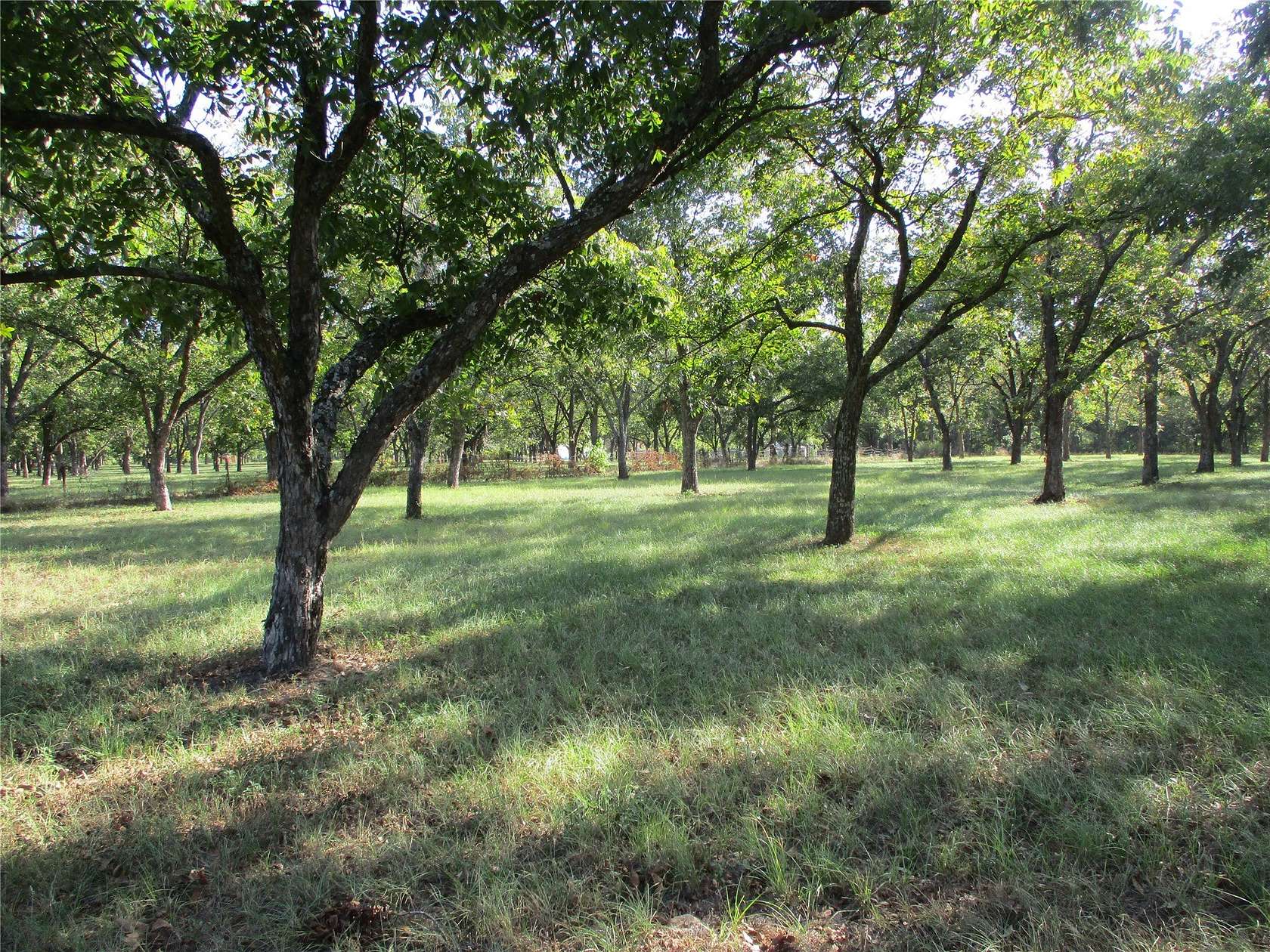 2 Acres of Residential Land for Sale in Emory, Texas