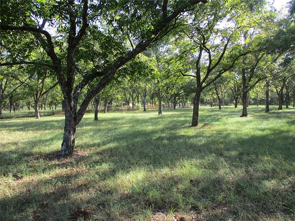 2 Acres of Residential Land for Sale in Emory, Texas