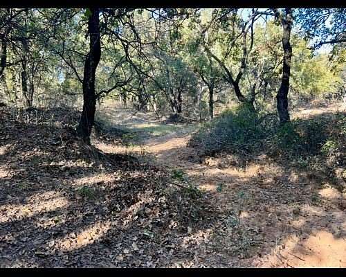40 Acres of Recreational & Residential Land for Sale in Gorman, Texas