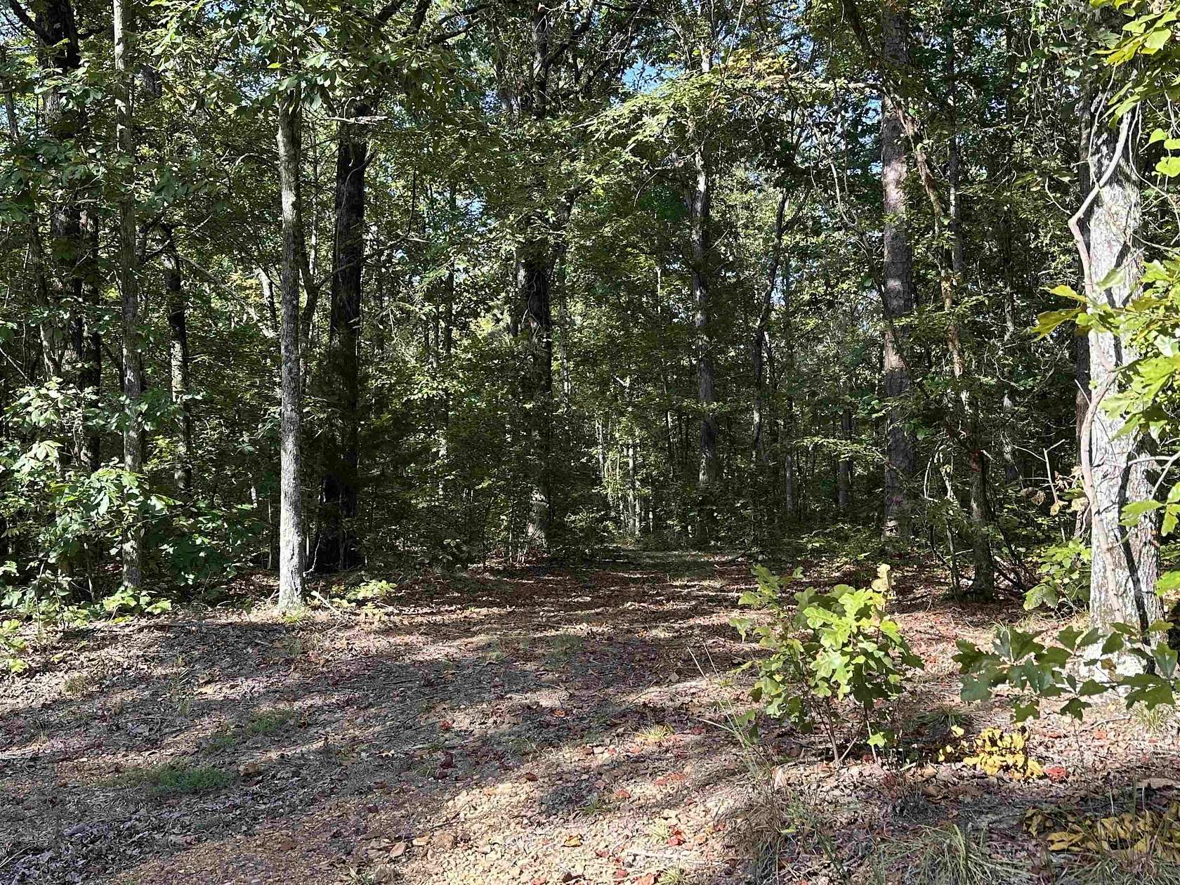 2.1 Acres of Residential Land for Sale in Waterloo, Alabama