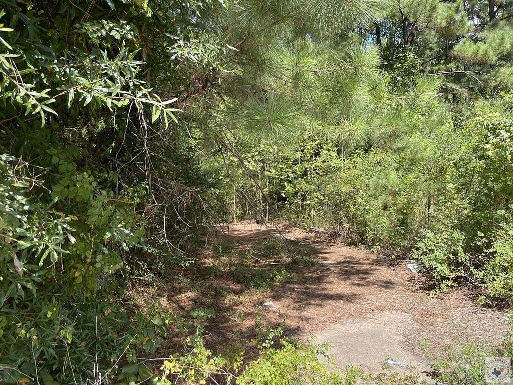 0.68 Acres of Land for Sale in Atlanta, Texas