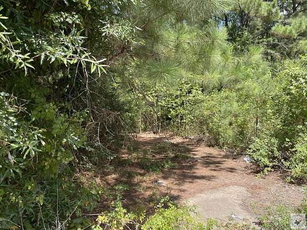 0.68 Acres of Land for Sale in Atlanta, Texas