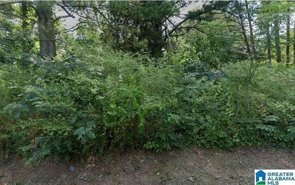 0.28 Acres of Residential Land for Sale in Bessemer, Alabama