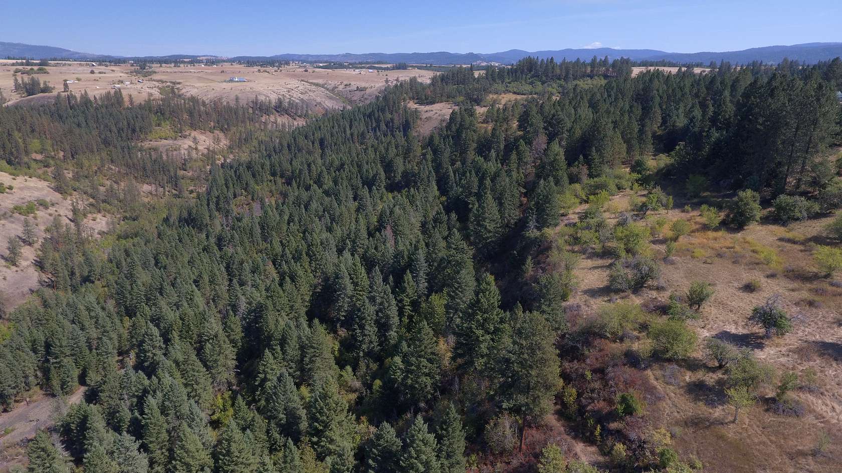 76.2 Acres of Land for Sale in Clearwater, Idaho