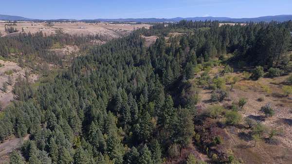 76.2 Acres of Land for Sale in Clearwater, Idaho