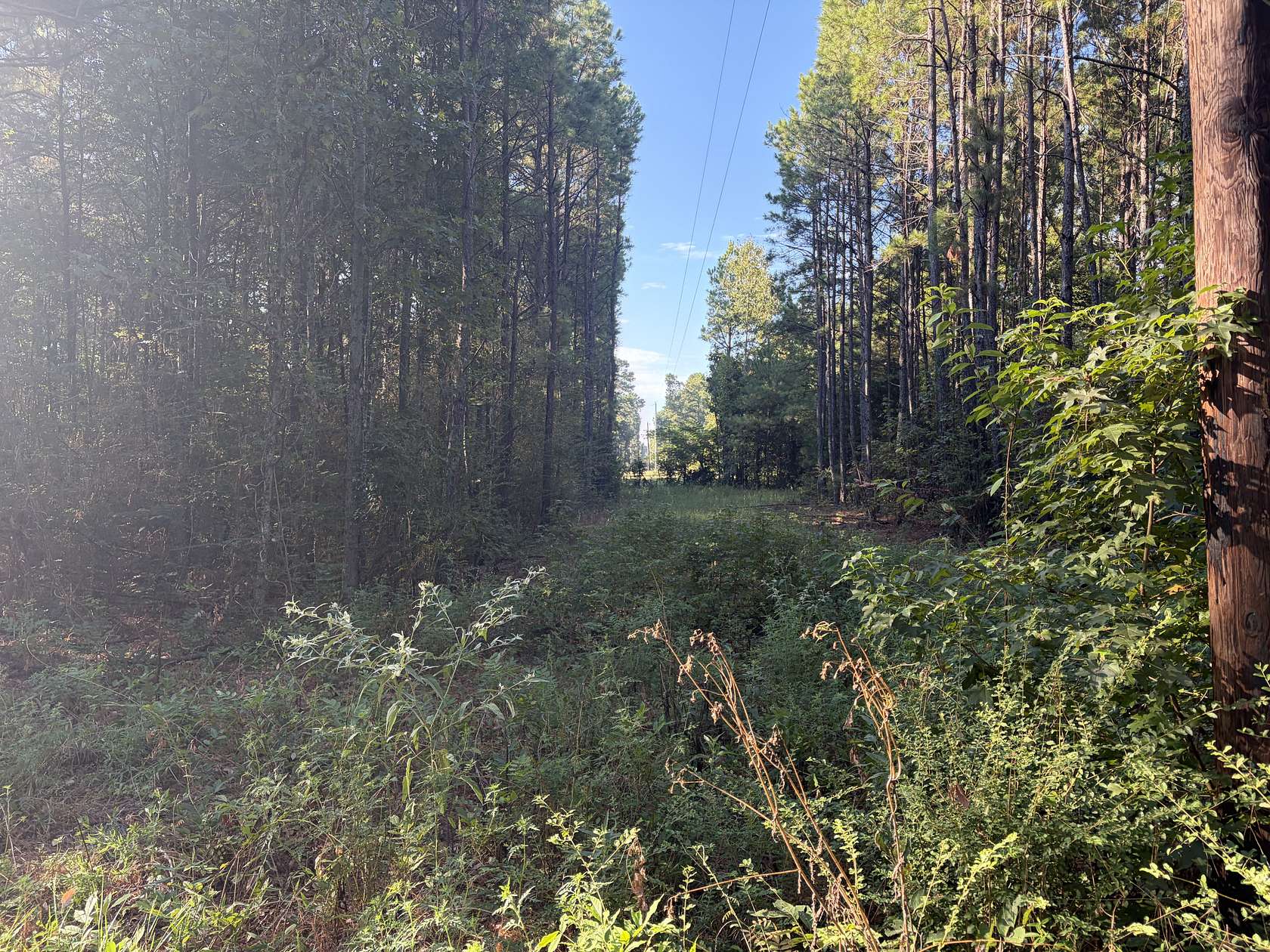 1 Acre of Land for Sale in Waskom, Texas