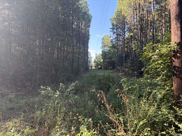 1 Acre of Land for Sale in Waskom, Texas