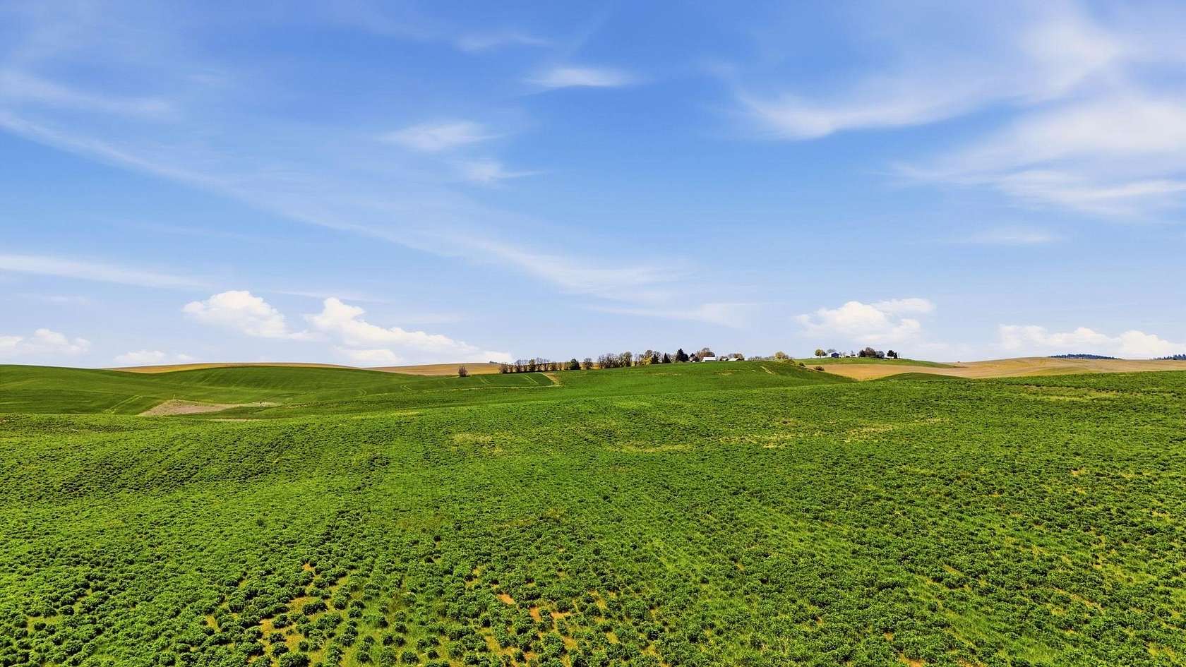 39.6 Acres of Agricultural & Residential Land for Sale in Valleyford, Washington