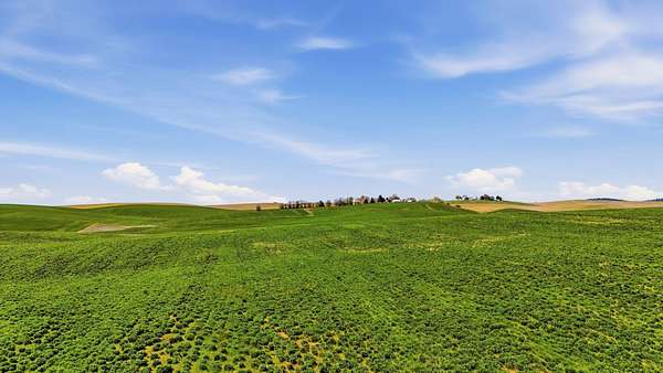 39.6 Acres of Agricultural & Residential Land for Sale in Valleyford, Washington