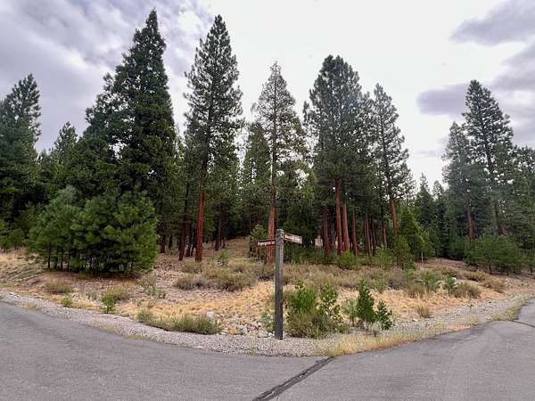 1.35 Acres of Residential Land for Sale in Portola, California