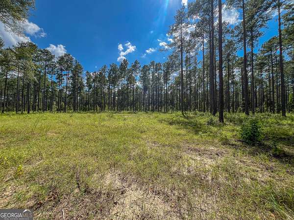 3 Acres of Residential Land for Sale in Dexter, Georgia