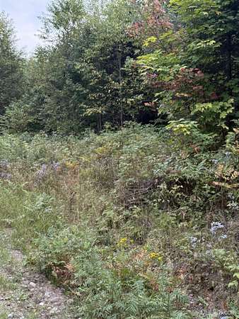 40 Acres of Recreational & Residential Land for Sale in Iron River, Michigan