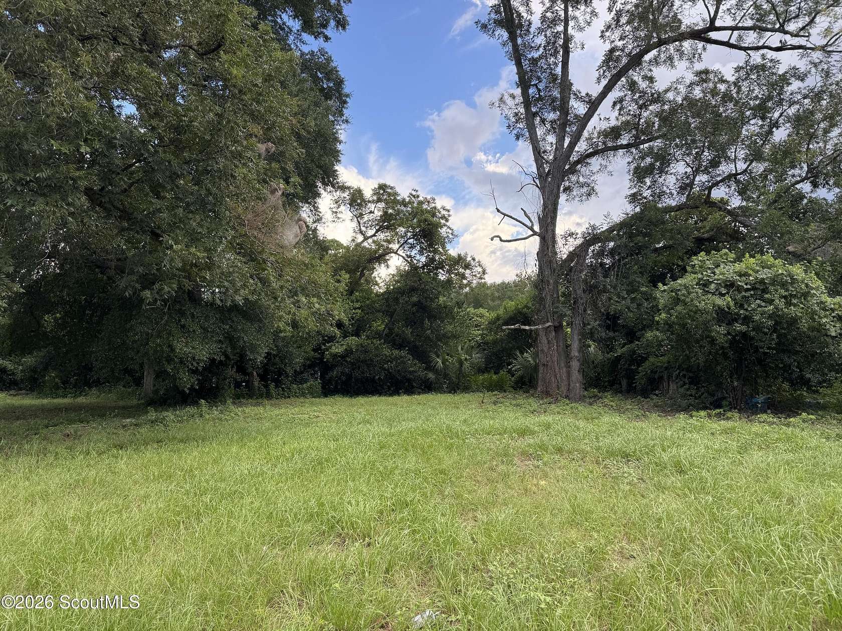 0.13 Acres of Mixed-Use Land for Sale in Waycross, Georgia