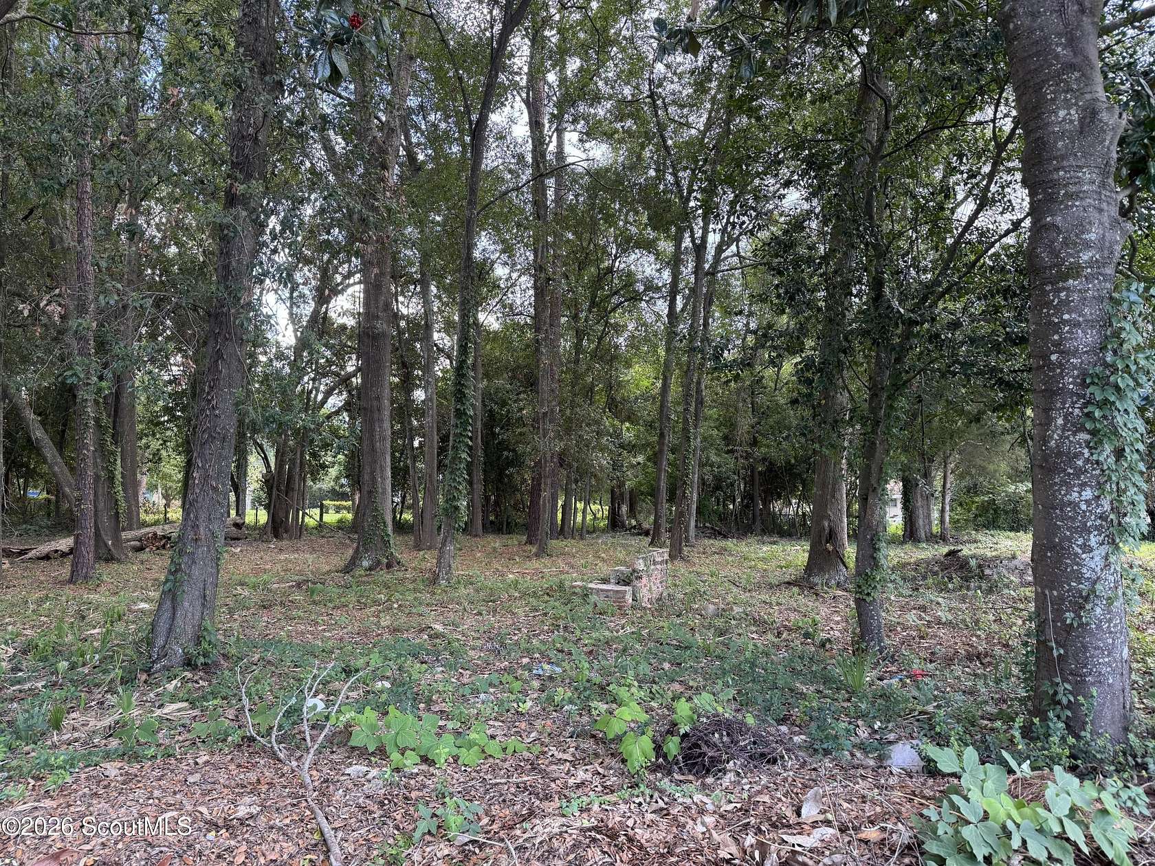 0.11 Acres of Mixed-Use Land for Sale in Waycross, Georgia