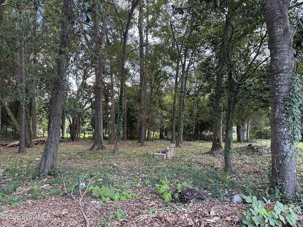 0.11 Acres of Mixed-Use Land for Sale in Waycross, Georgia