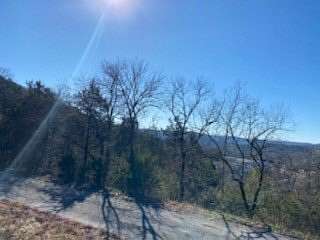 0.5 Acres of Residential Land for Sale in Holiday Island, Arkansas