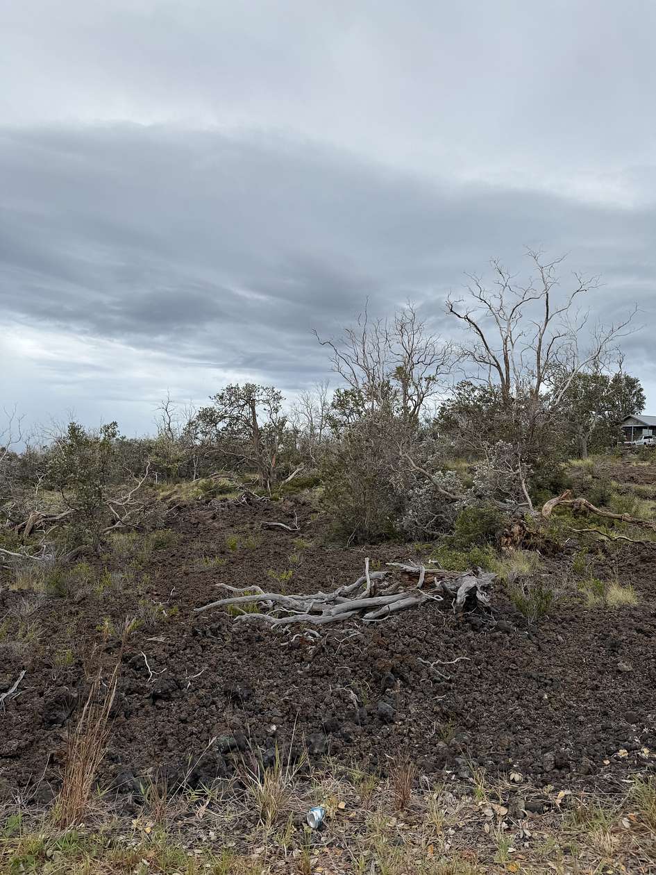 1 Acre of Land for Sale in Hawaiian Ocean View, Hawaii