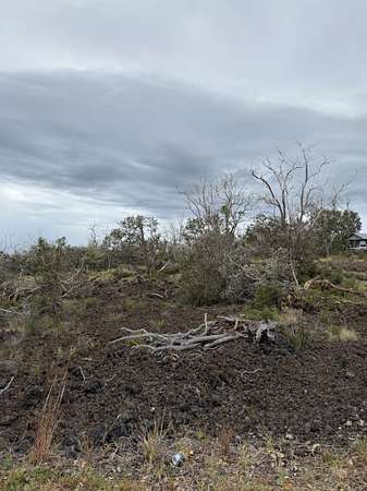 1 Acre of Land for Sale in Hawaiian Ocean View, Hawaii