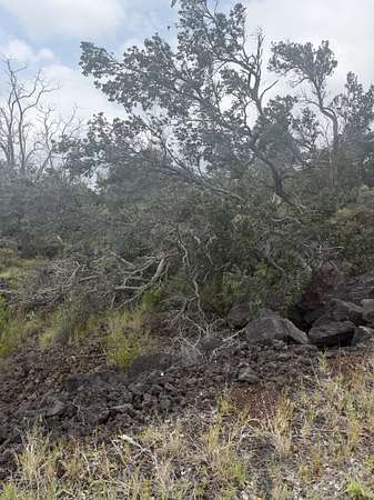 1 Acre of Land for Sale in Hawaiian Ocean View, Hawaii