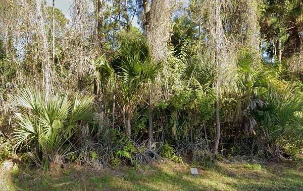 0.23 Acres of Residential Land for Sale in Fort Myers, Florida